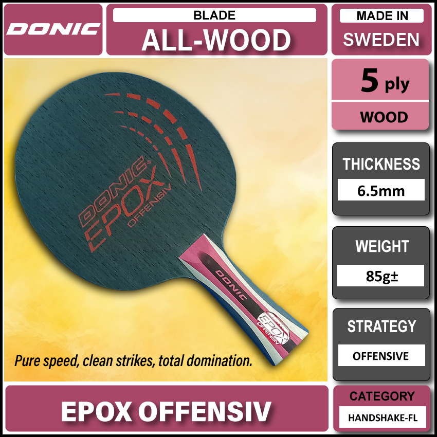 Epox-Offensiv-P1