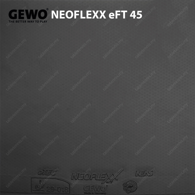 Gewo-Neoflexx-eFT-45-P2