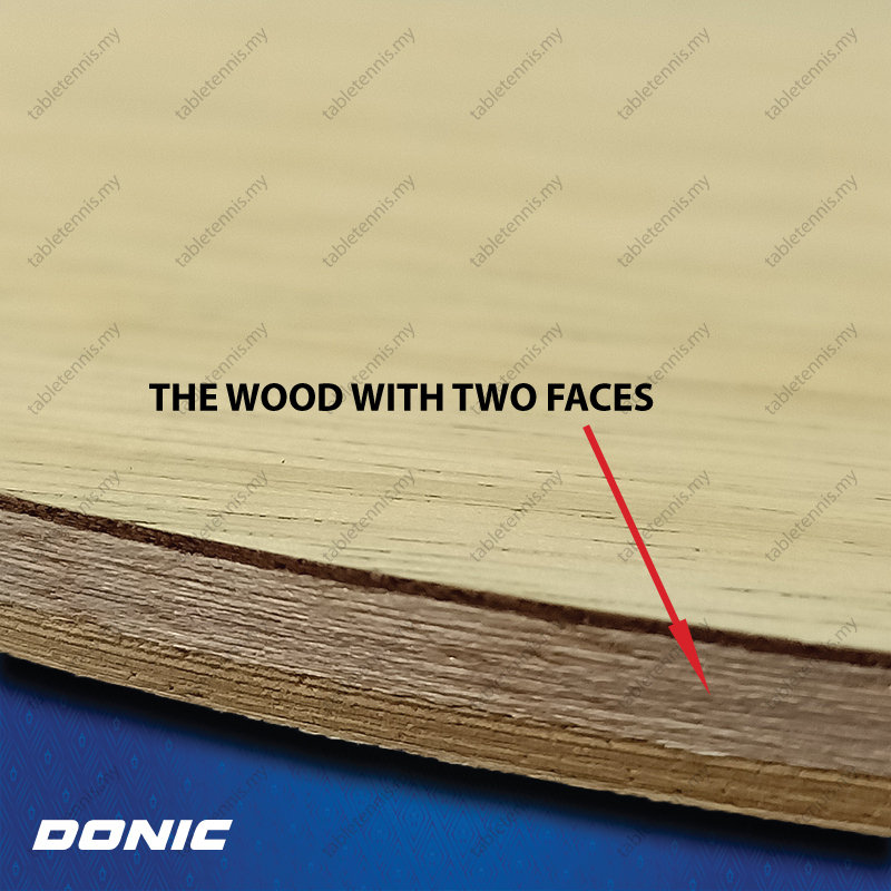 Alligator-Combi--ST-P5