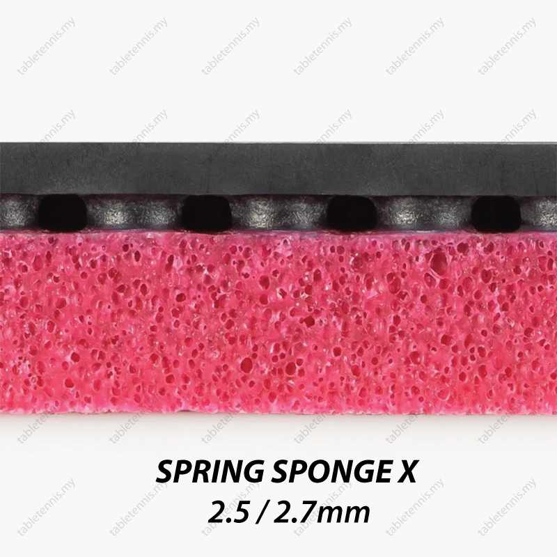 Butterfly-Zyre-03-P6