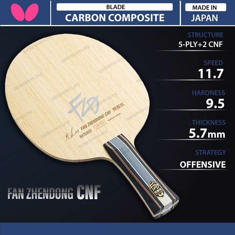 Fan-Zhendong-CNF-P1