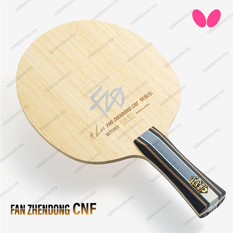Fan-Zhendong-CNF-P2