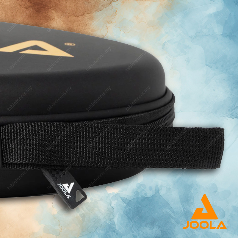 Joola-Vision-II-Case-P4