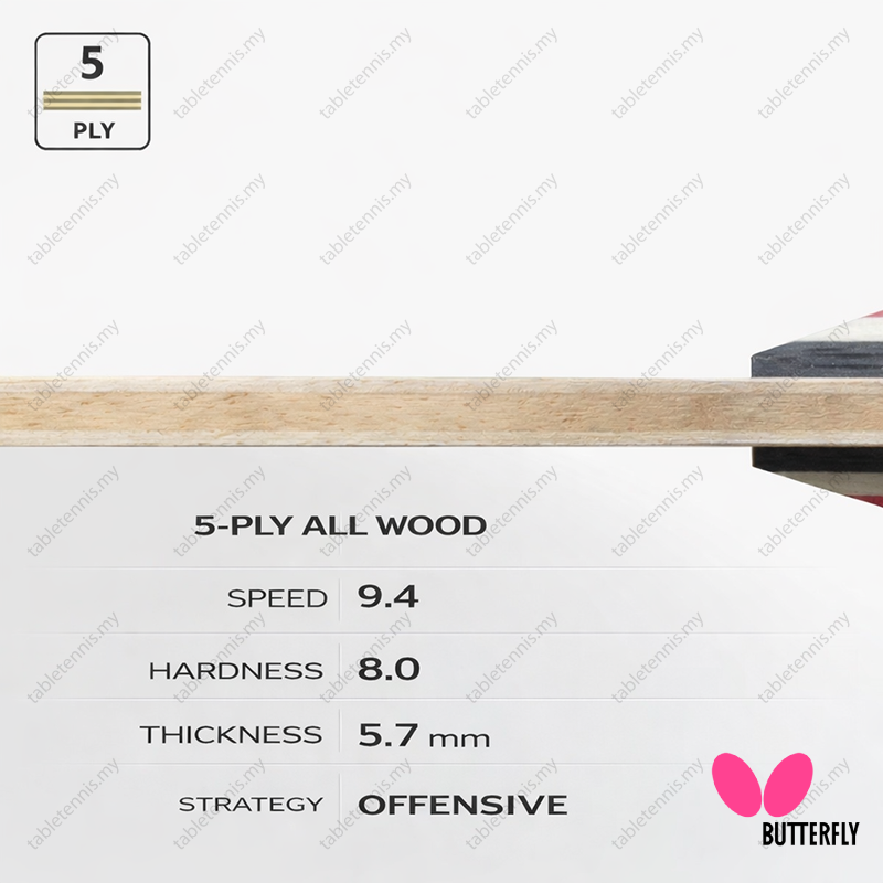 Jun-Mizutani-Major-CS-P5