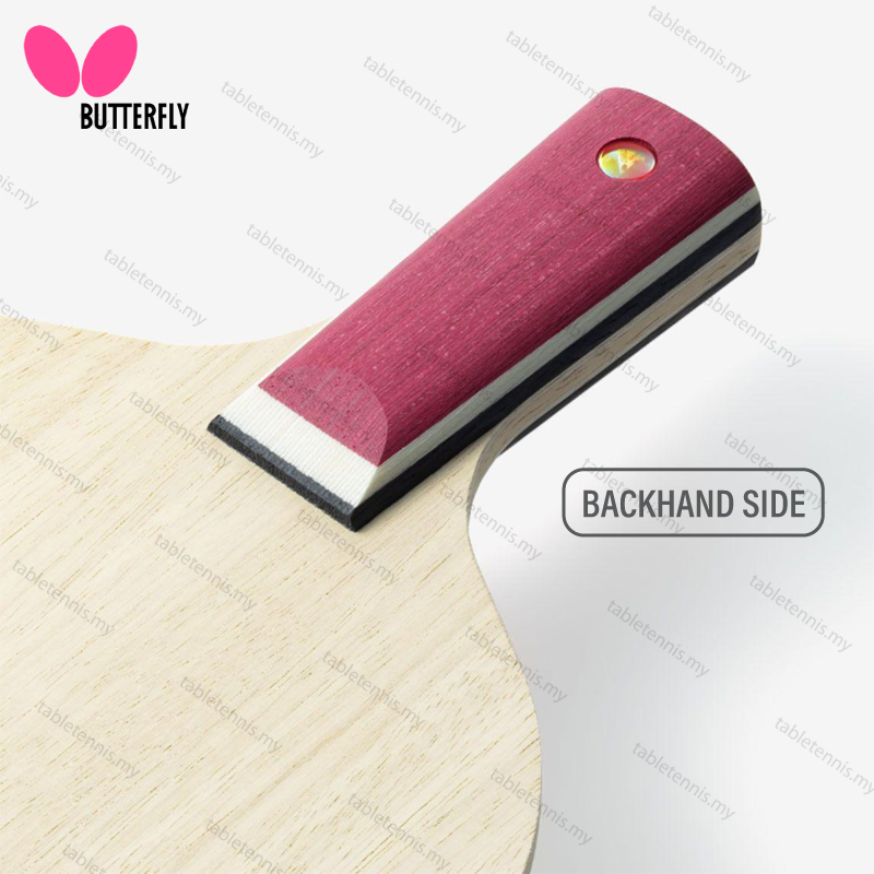 Jun-Mizutani-Major-CS-P4