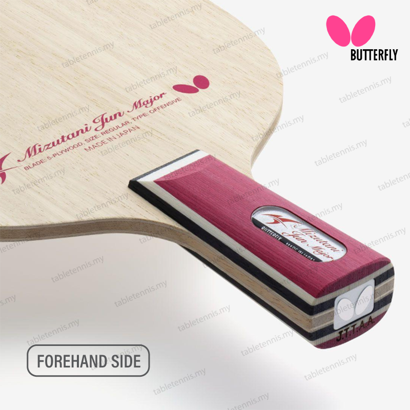 Jun-Mizutani-Major-CS-P3