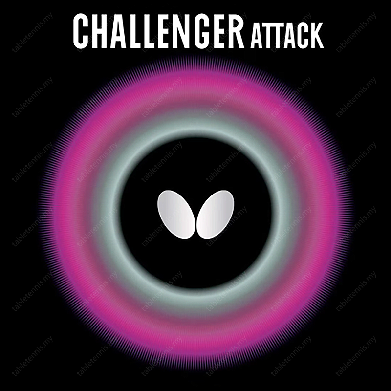 Butterfly-Challenger-Attack-P2