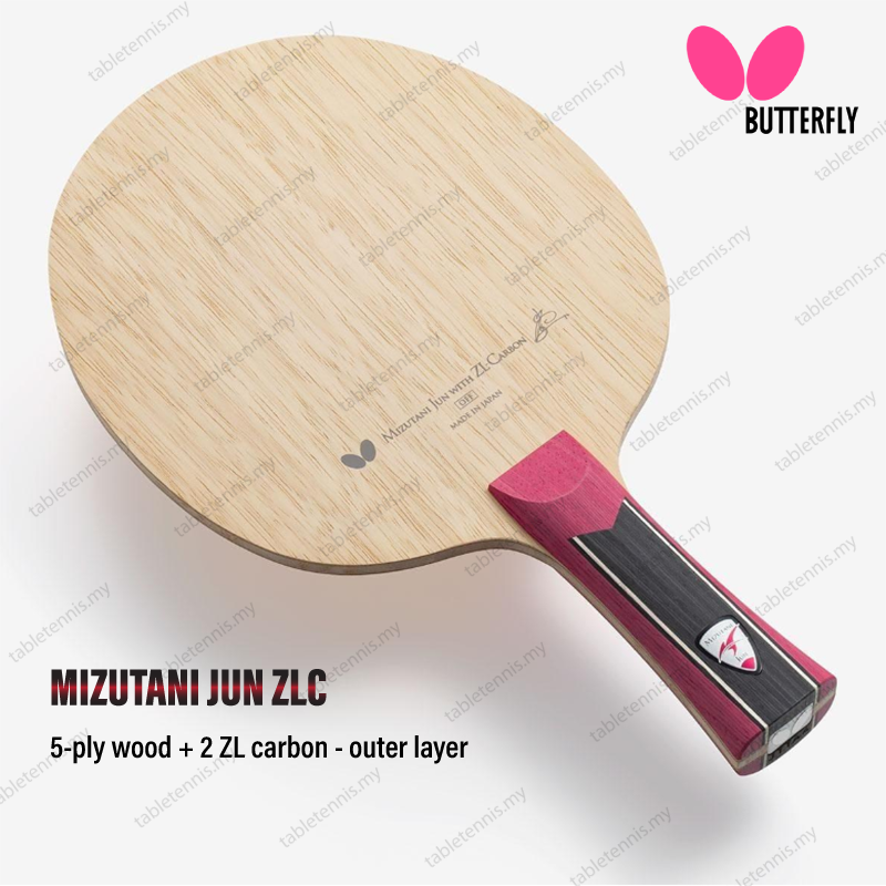 Mizutani-Jun-ZLC-P1
