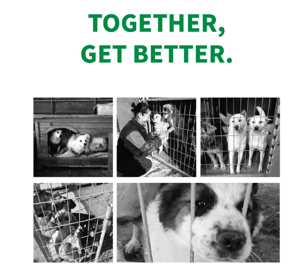 截圖 2021-03-08 下午5.55.49.png