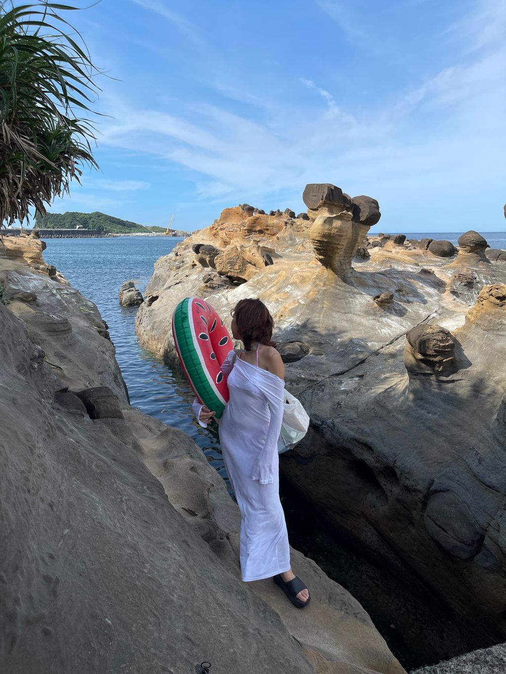 image_12D4F730-DA80-4CD3-83AD-ADF024879AF6_1751420357