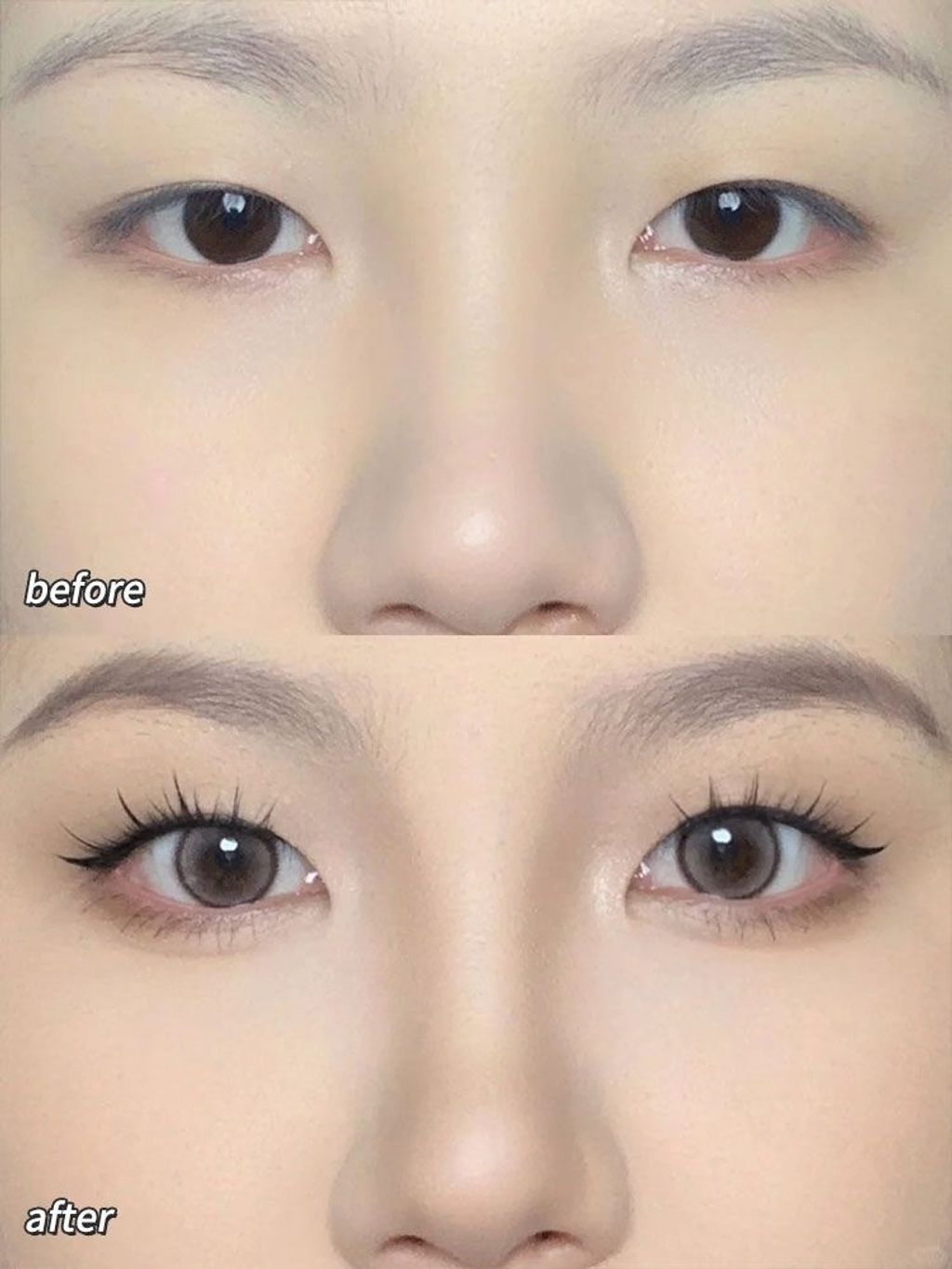 IMG_3238-1732179484111