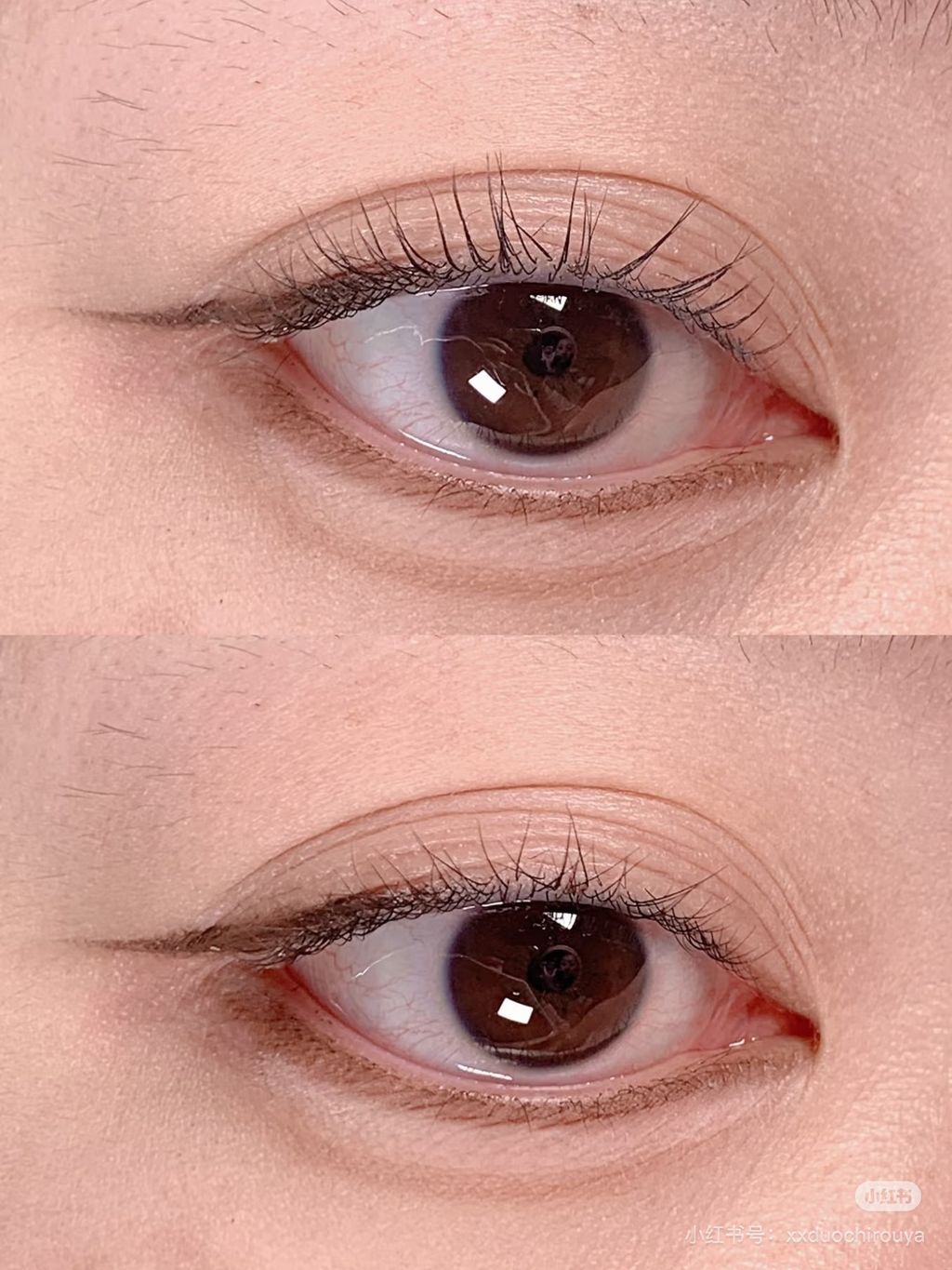 image_29BFA7E6-75BB-4BD1-A287-C0F8A94CD6D6_1769269421