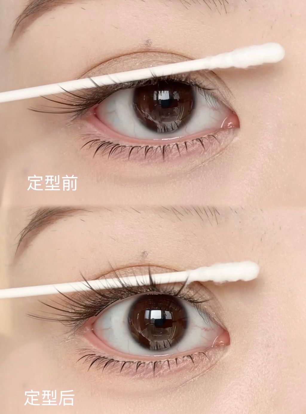 image_B2C73B22-A49C-4642-A924-23CF42026920_1769269421