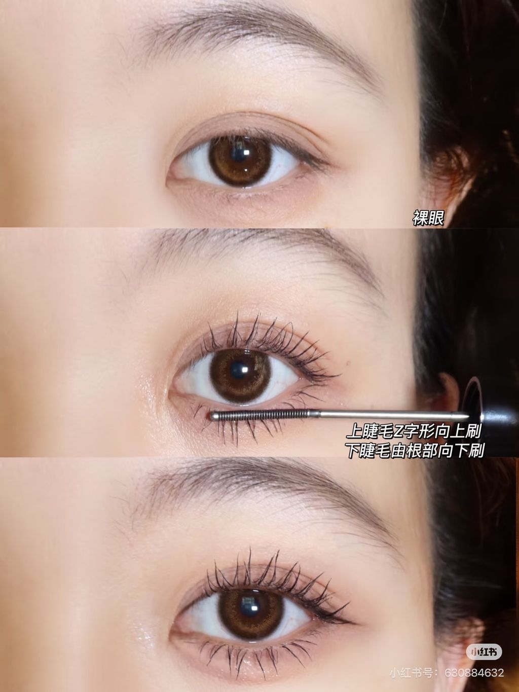 image_0D92BF0B-9AE0-48B3-970C-6C2829D3C058_1771058136