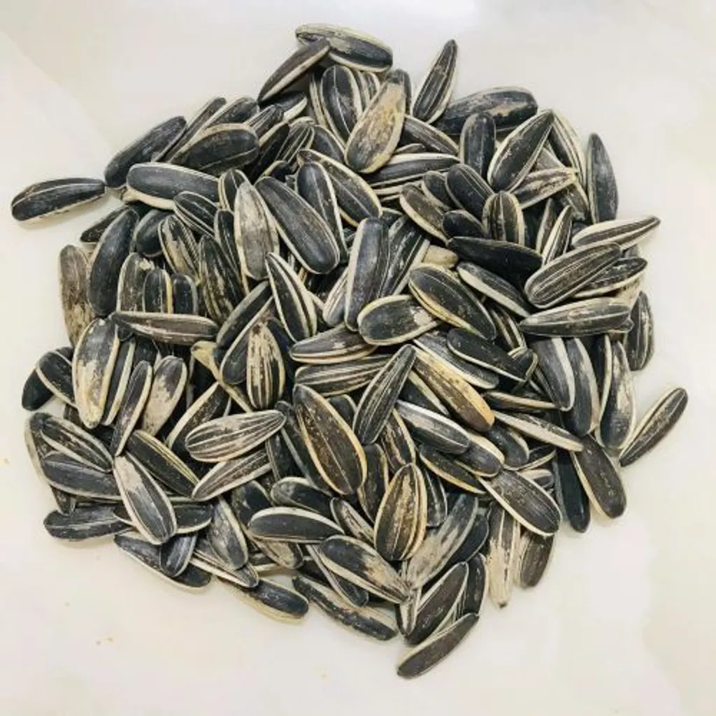 Sunflower Kuaci.jpg