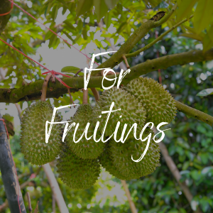 For Fruiting 1.png