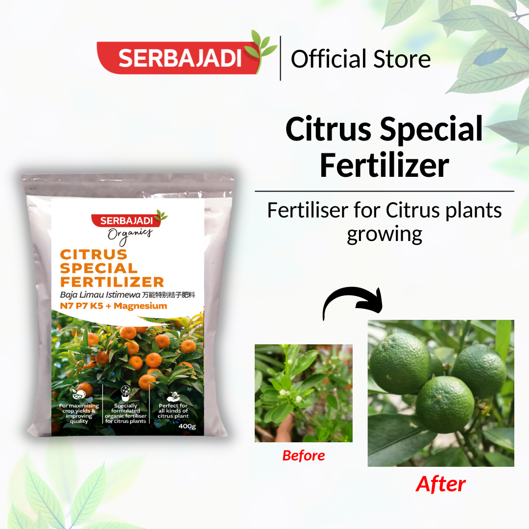 Citrus Special Fertilizer