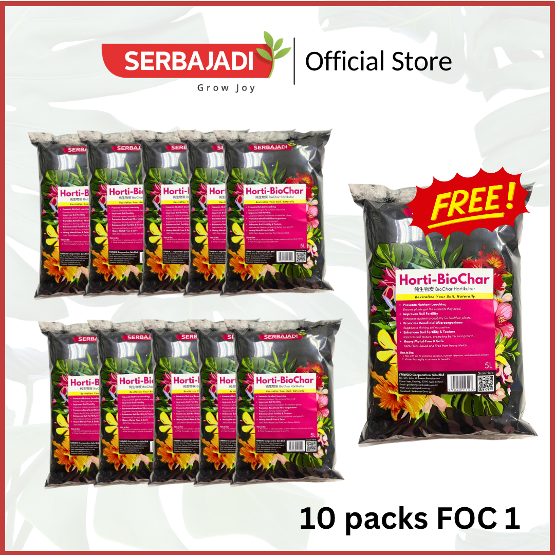 10packs