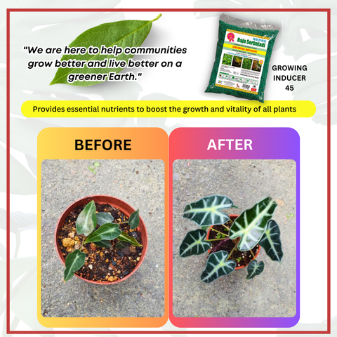 Serbajadi Growing Inducer 45 - Balance Nutrients for Healthy Plant ...