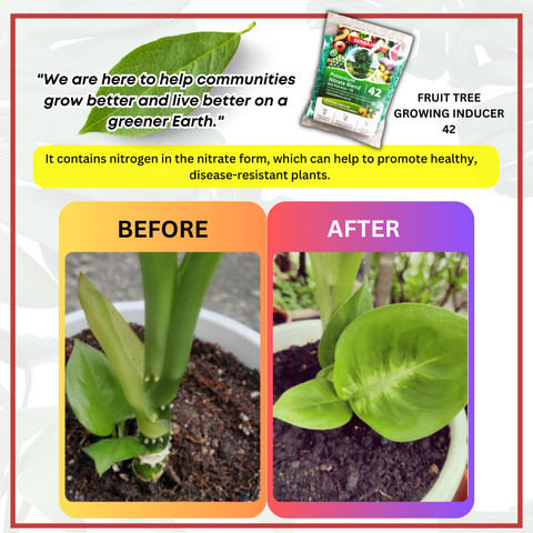 Serbajadi Fruit Tree Growing Inducer 42 Fertiliser - Boosts Growth ...