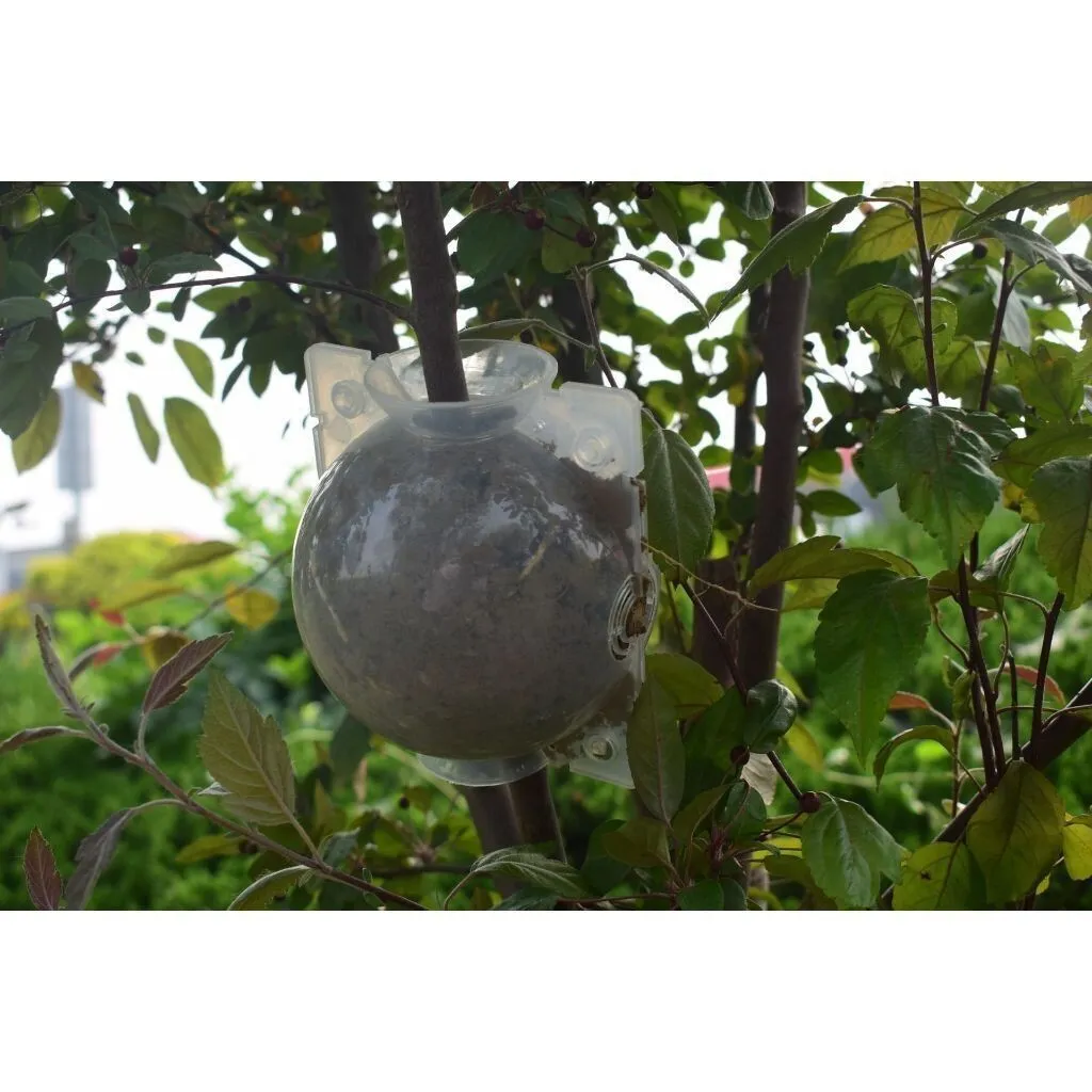 sg-11134201-7rccb-ltxnlvdcckal43