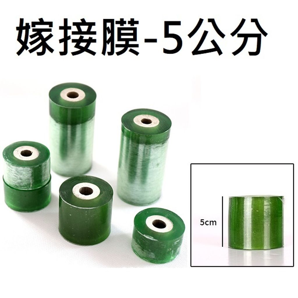 5公分