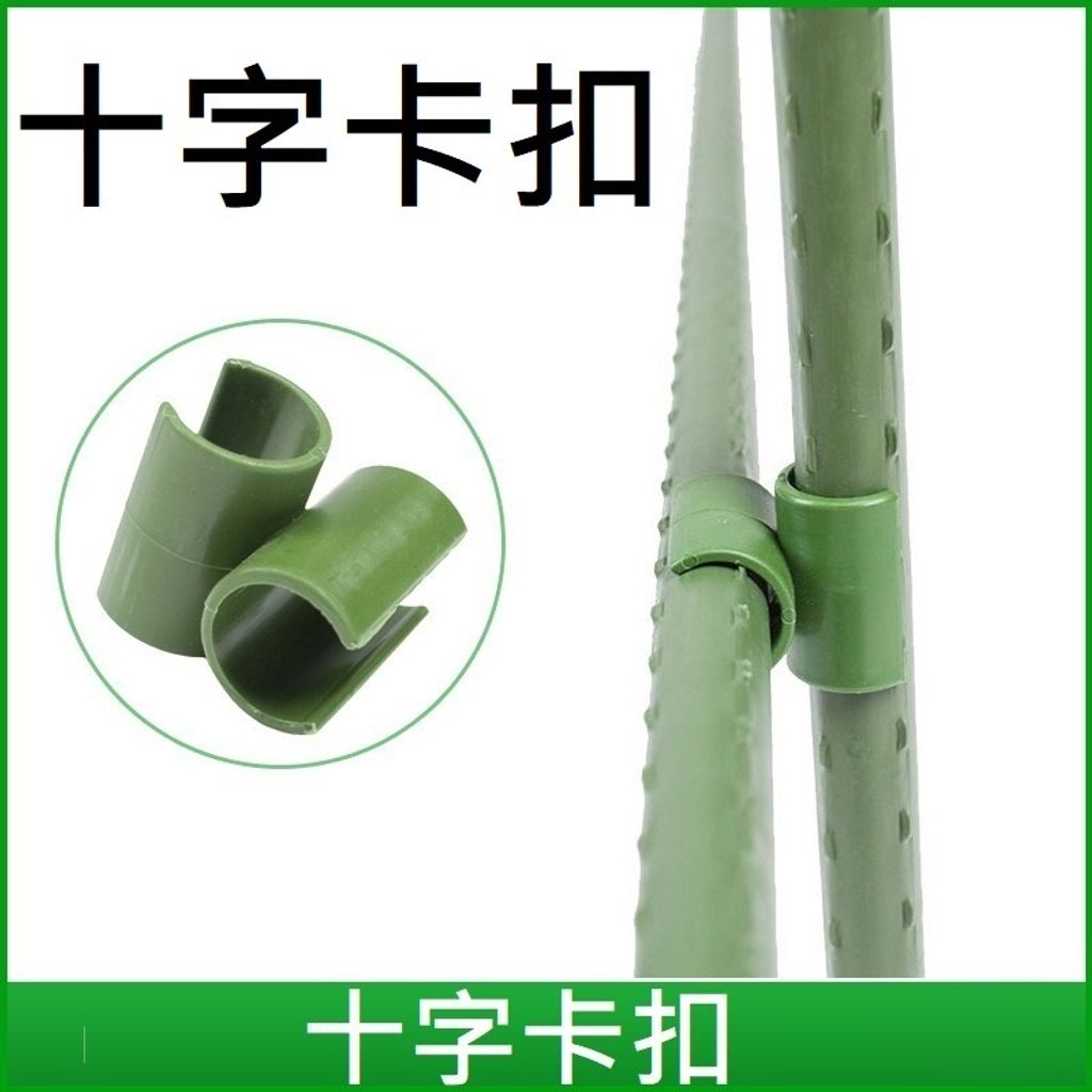 tw-11134207-7rasc-m0g564wyispfe6