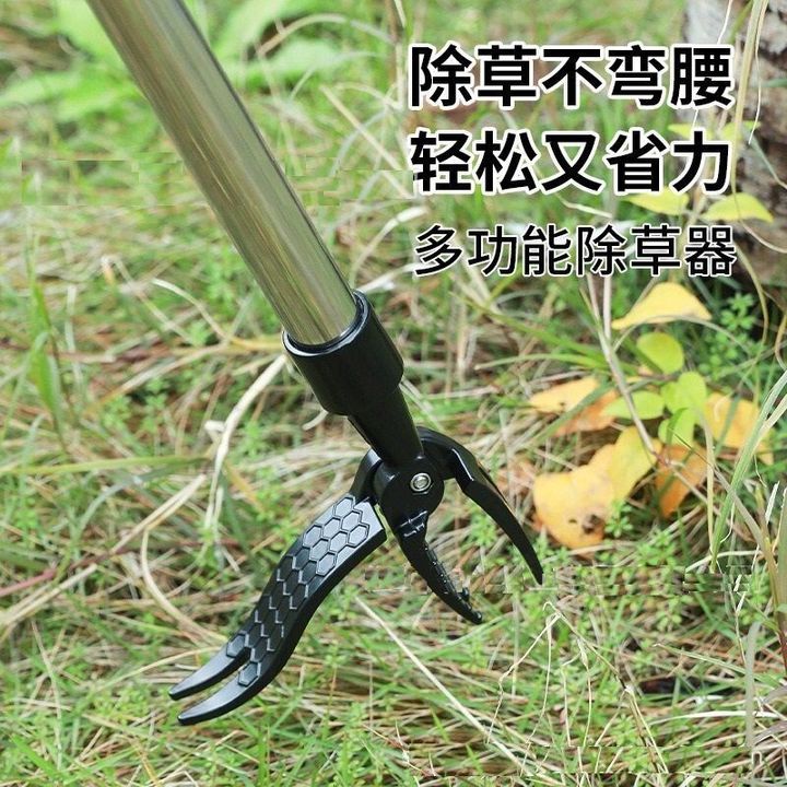 sg-11134201-7rdwj-m13zzwq1jmrua7
