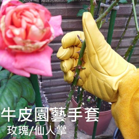 sg-11134201-7rdx6-lz2ugnf5hzyy77