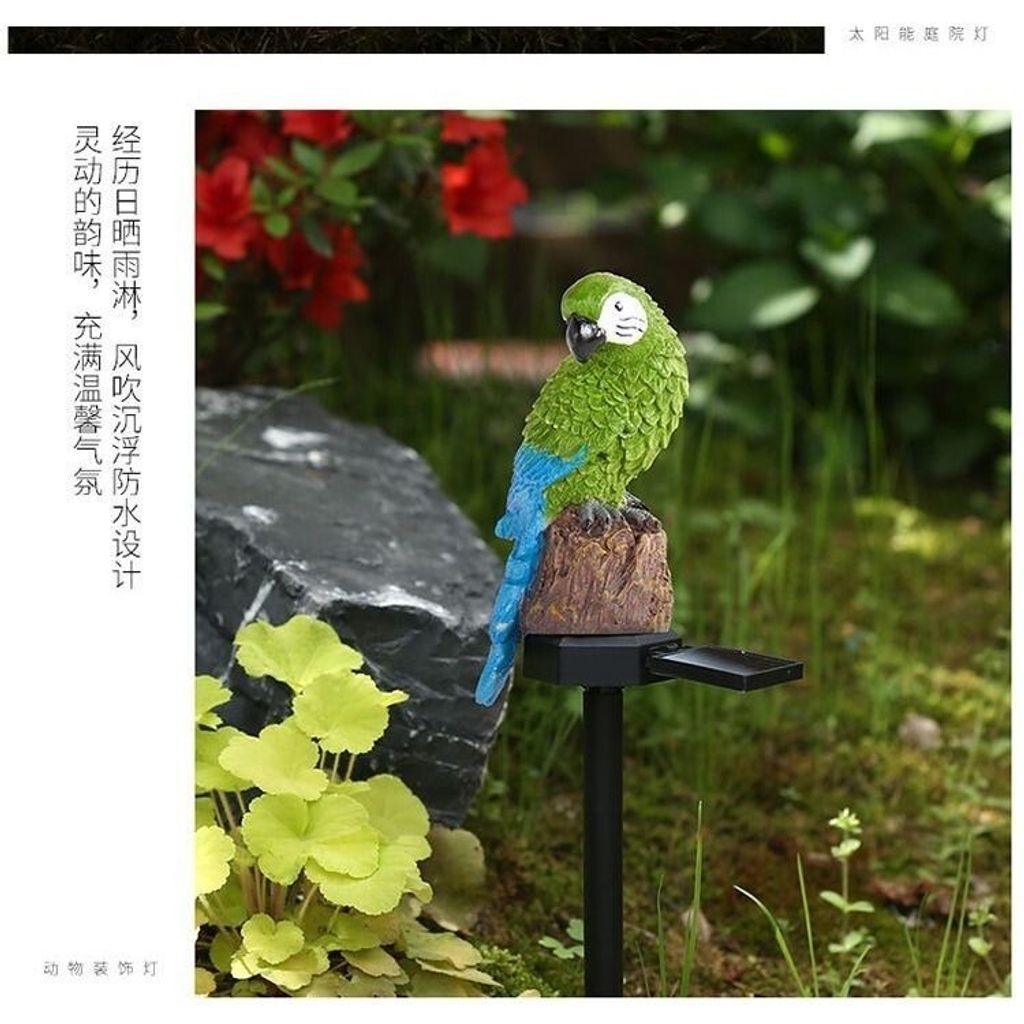 sg-11134201-7rdwq-lz31j0cve51i3c