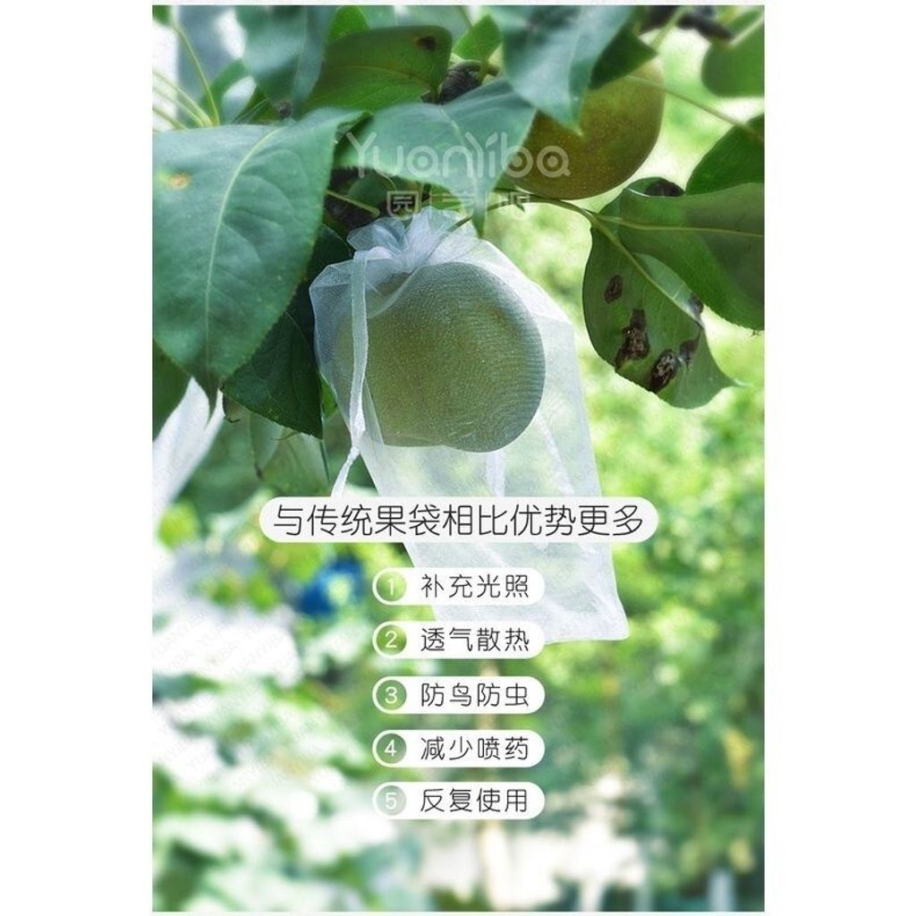 sg-11134201-7rdw0-lz291wsdaqus2c