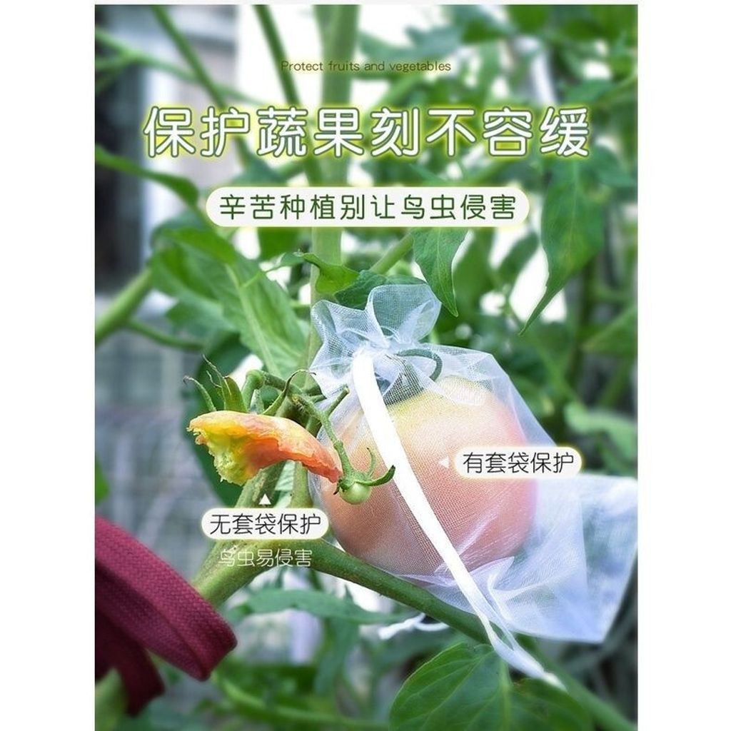 sg-11134201-7rdxd-lz291x5ernl4c2