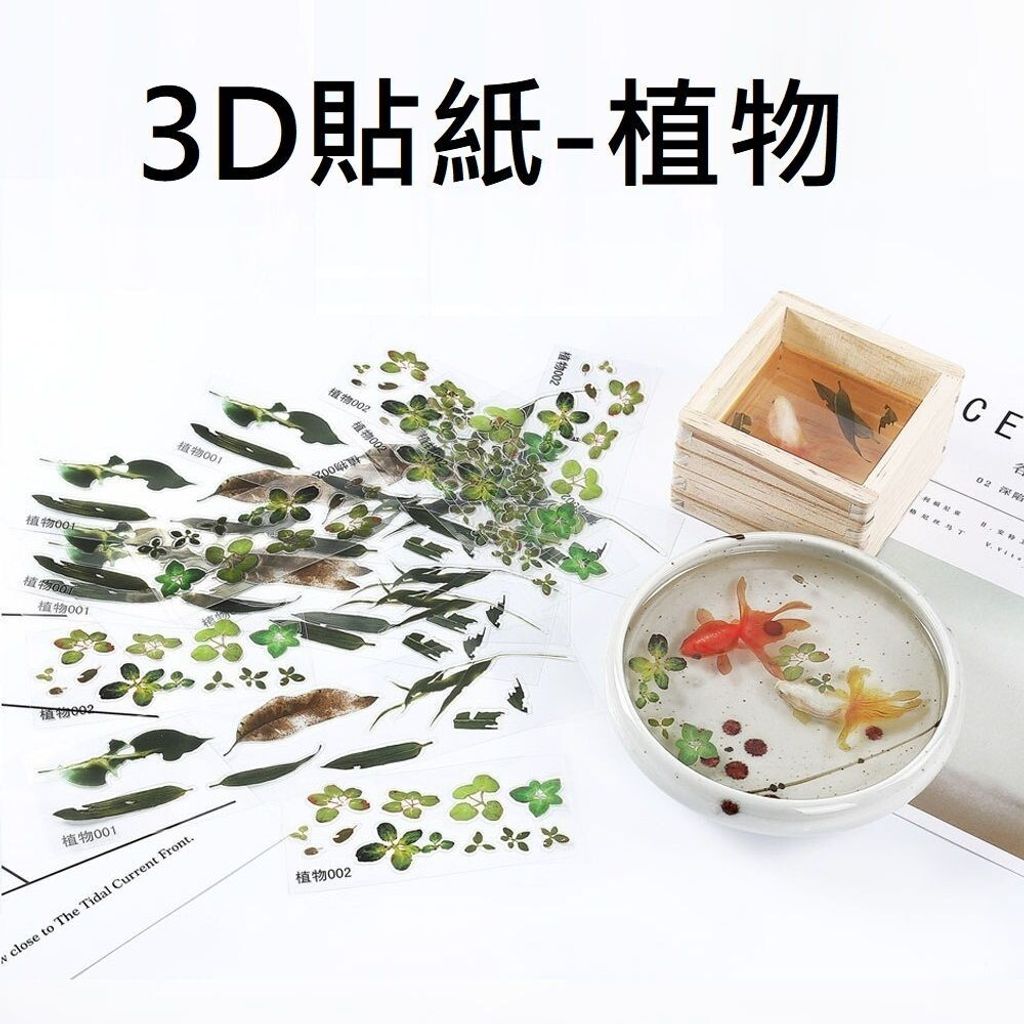 sg-11134201-7rcdn-m6584eipxl3r55