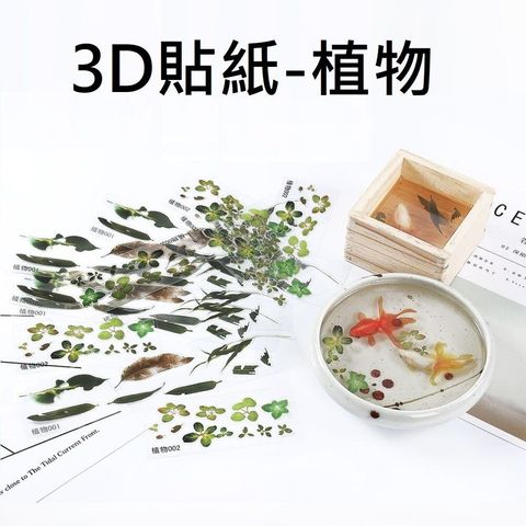sg-11134201-7rcdn-m6584eipxl3r55