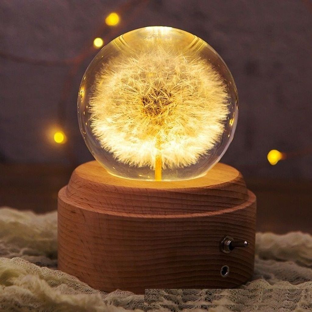 sg-11134201-7rfgh-m41jl5zbsaip6f