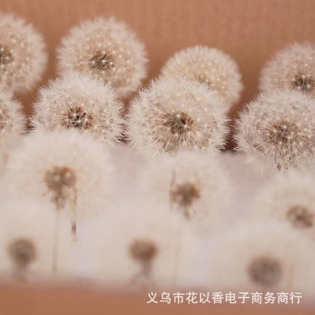 sg-11134201-7rfgi-m41jl6xgecmsc6