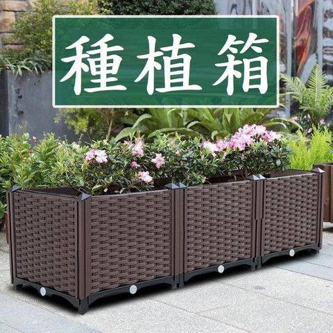 sg-11134201-7rffq-m3bimea63hevdb