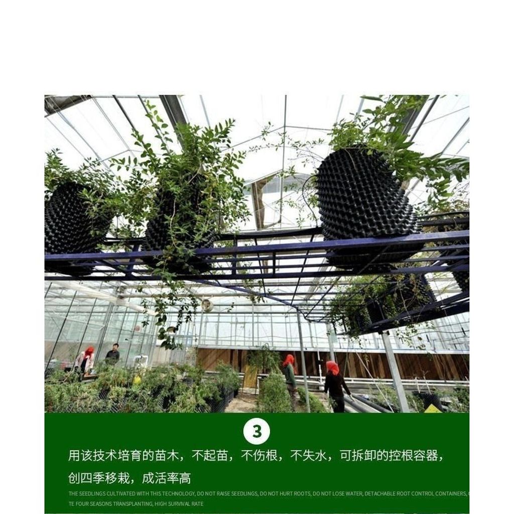 sg-11134201-7rdwe-lz2kr96o6ojb72