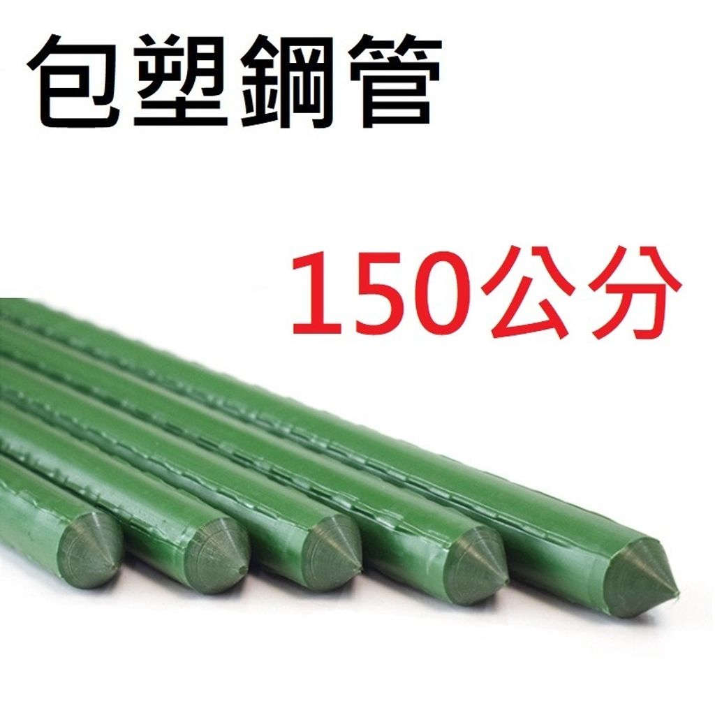 tw-11134207-7rasd-m0g55jlrph47db