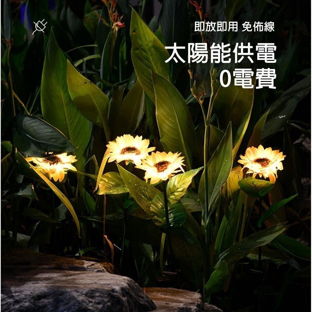 sg-11134201-7ra20-m536dxkcfx5j2f