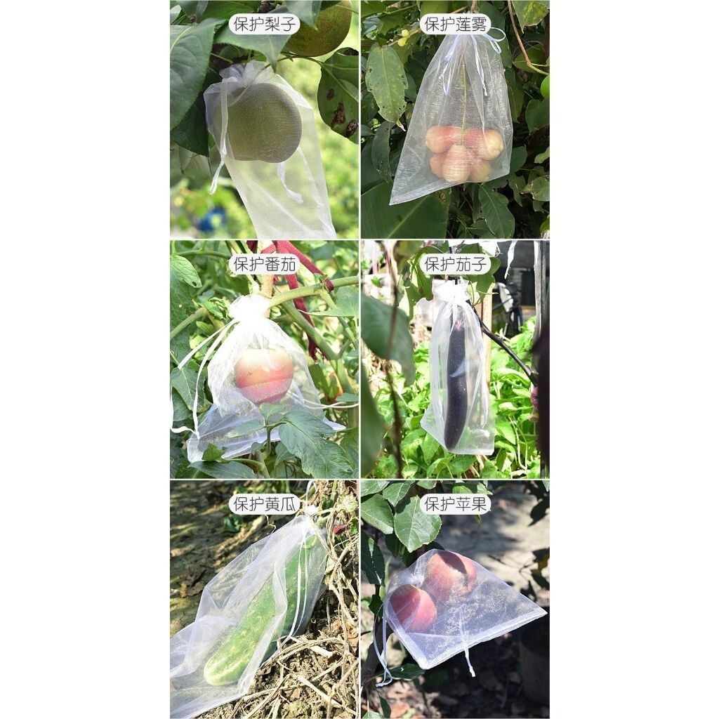 sg-11134201-7reqn-m2tcbt2shn6v59