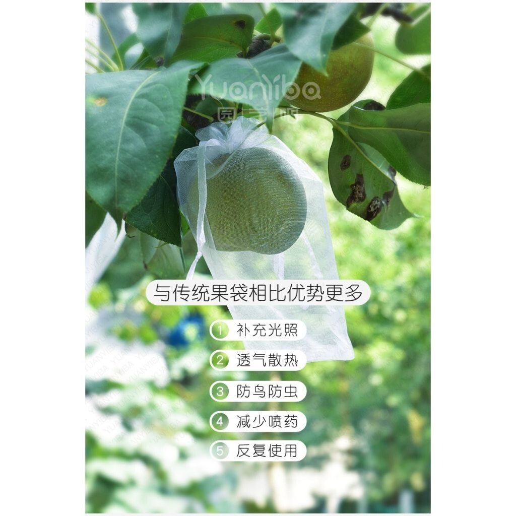 sg-11134201-7reoq-m2tcbv0fmbfrdc