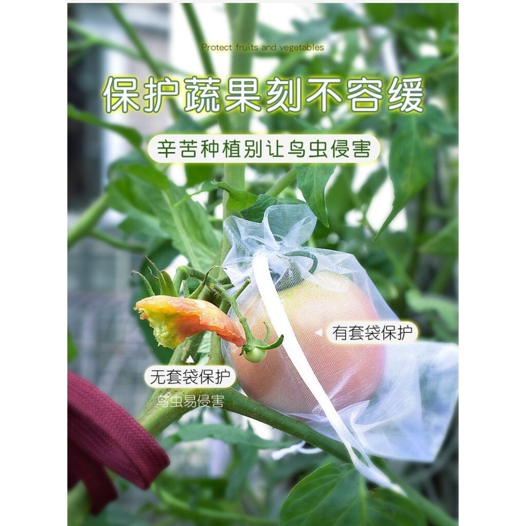 sg-11134201-7reps-m2tcbvf50t0h10