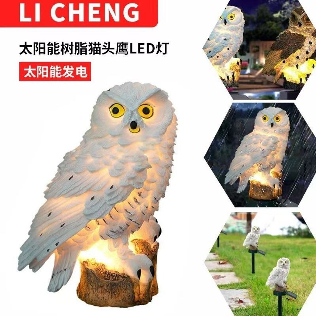 sg-11134201-7rdw3-m14zuvon2fixf5