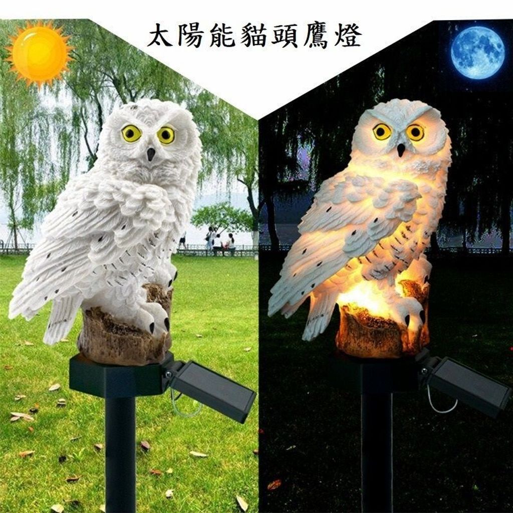 sg-11134201-7rdvk-m14zuvy2rfj2ff