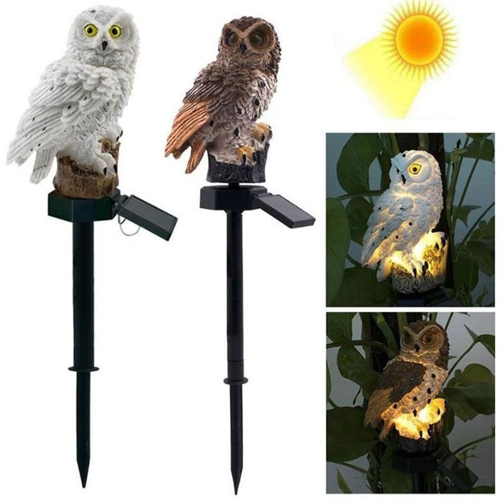 sg-11134201-7rdwp-m14zuwiluklv81