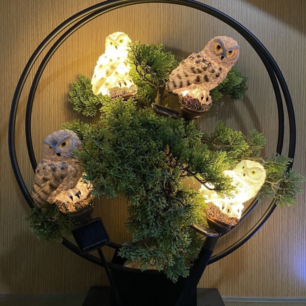 sg-11134201-7rdyj-m14zuwsvfjq64b