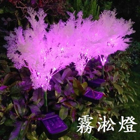 sg-11134201-7renp-m2aq6wp1upbw9b