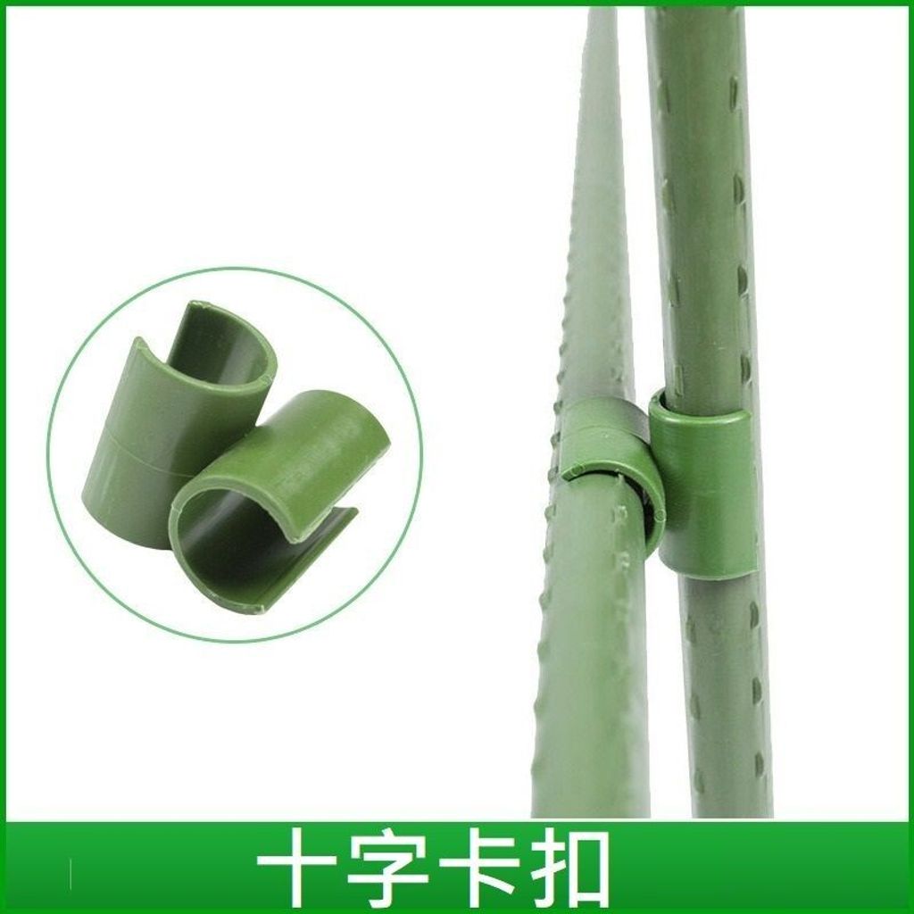 sg-11134201-7rdx1-lz2mwd97qps706