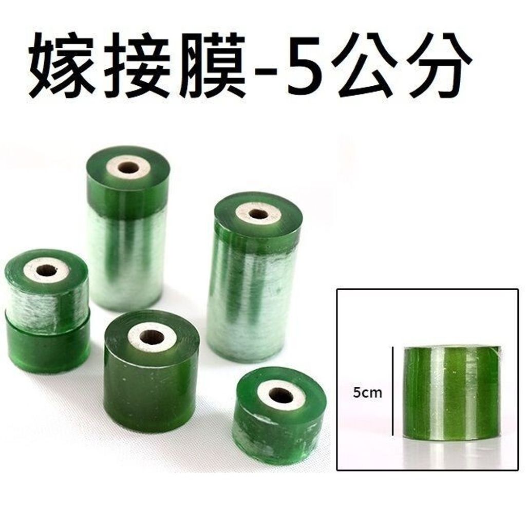 sg-11134201-7rdx0-lyp9d96lxwyw5b